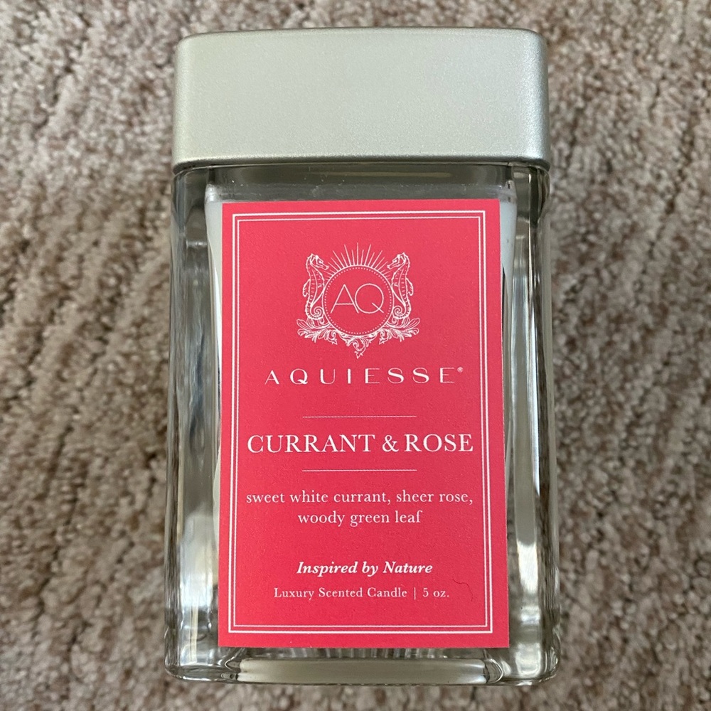 Aquiesse Currant & Rose Luxury Scented Candle 5 oz - New, Handpoured in USA
